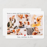 Pets Modern Simple Custom 6 Images Collage Photo