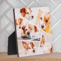 Pets Modern Simple Custom 6 Images Collage Photo