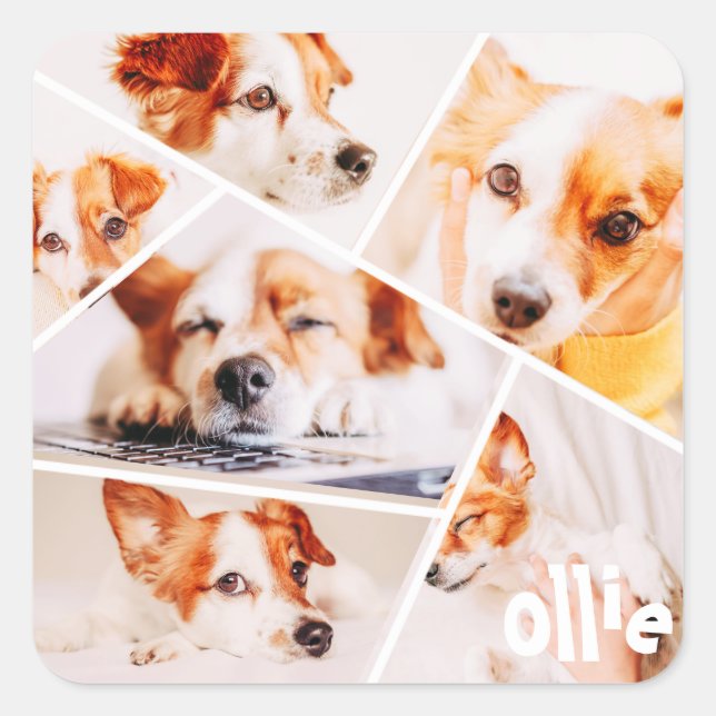 Pets Modern Simple Custom 6 Images Collage Photo Square Sticker (Front)