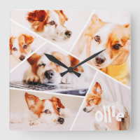 Pets Modern Simple Custom 6 Images Collage Photo
