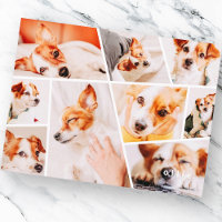 Pets Modern Simple Custom 9 Images Collage Photo