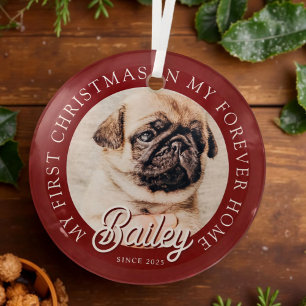 Pet's My First Christmas In Forever Home Modern Glass Tree Decoration