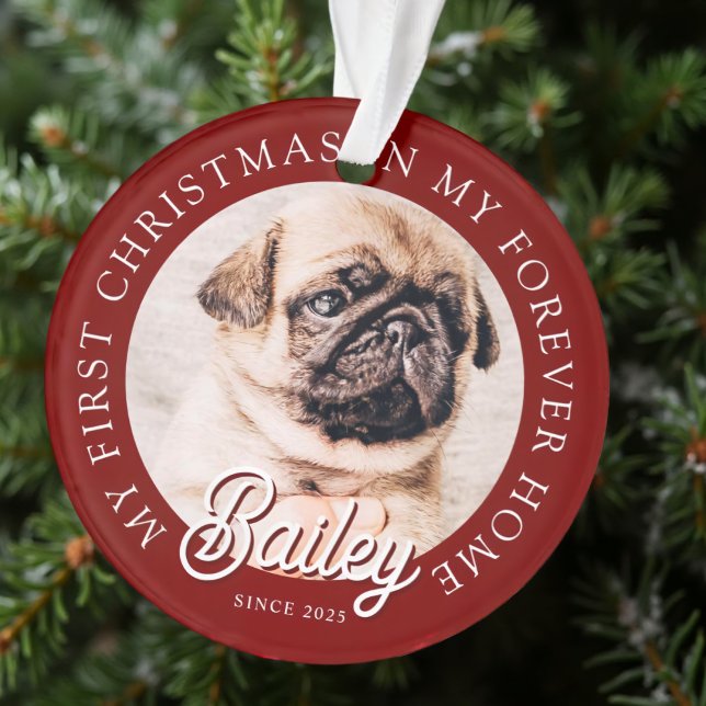 Pet's My First Christmas In Forever Home Modern Ornament (Creator Uploaded)