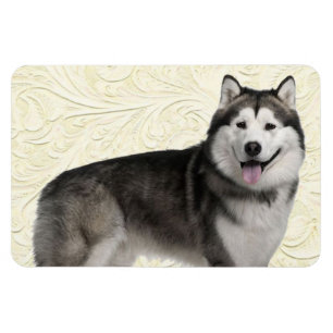 Pet's Photo Easy Template Dog Puppy DIY Upload Magnet