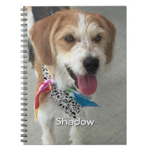 Pet's Photo or Child's Photo & Name Notebook