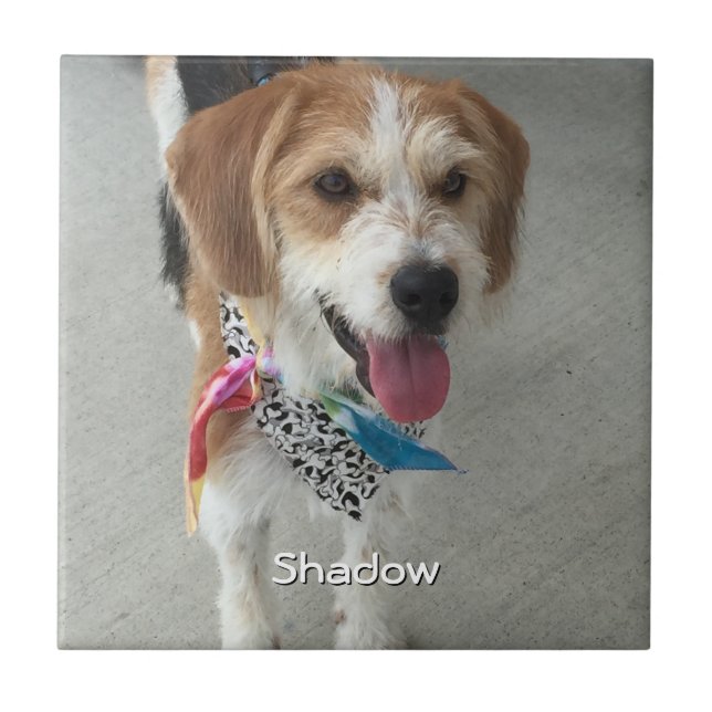 Pet's Photo or Child's Photo & Name Tile (Front)