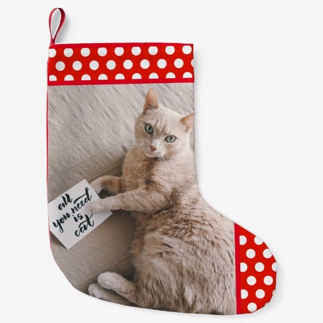 Pet's Photo Small Christmas Stocking (Front)
