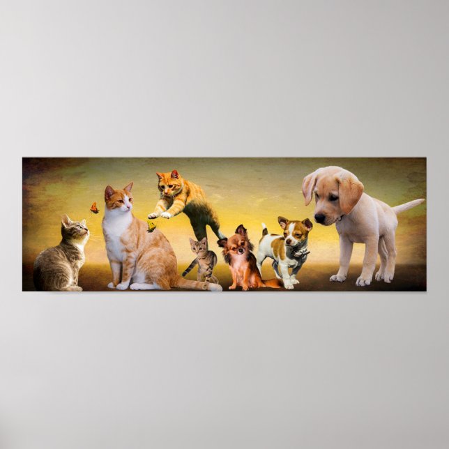 Pets Poster (Front)