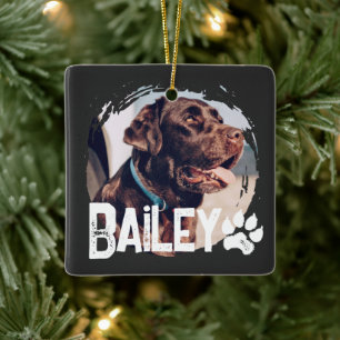 Pet's Simple Modern Cool Grunge Name and Photo Ceramic Ornament