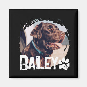 Pets Simple Modern Cool Nge Name And Photo Magnet