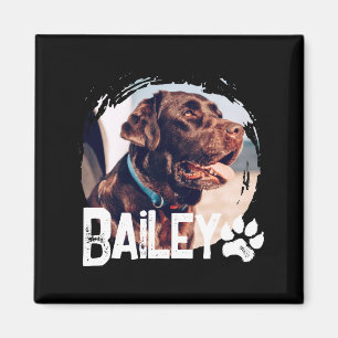 Pets Simple Modern Cool Nge Name And Photo Magnet