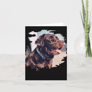 Pets Simple Modern Cool Tygraphy Name And Photo  Card