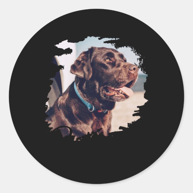 Pets Simple Modern Cool Tygraphy Name And Photo T  Classic Round Sticker (Front)