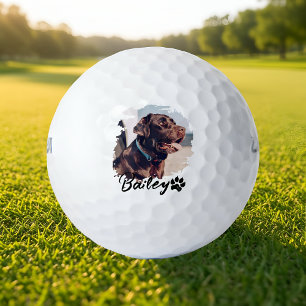 Pet's Simple Modern Cool Typography Name and Photo Golf Balls