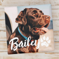 Pet's Simple Modern Cool Typography Name and Photo