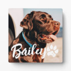 Pet's Simple Modern Cool Typography Name and Photo