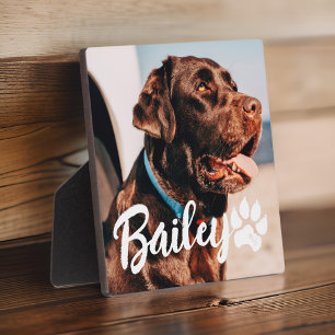Pet's Simple Modern Cool Typography Name and Photo Plaque