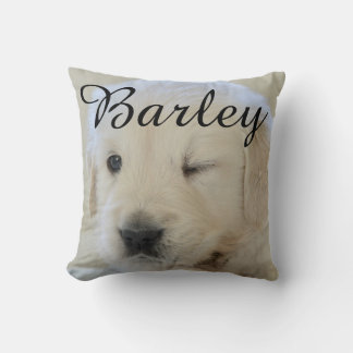 Pet's Simple Modern Elegant Chic Name and Photo Cushion