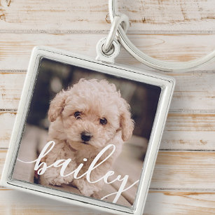 Pet's Simple Modern Elegant Chic Name and Photo Key Ring