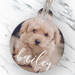 Pet's Simple Modern Elegant Chic Name and Photo Pet Tag
