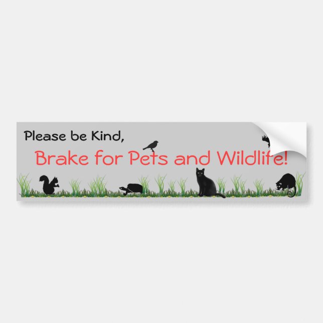 pets & wildlife bumper sticker (Front)