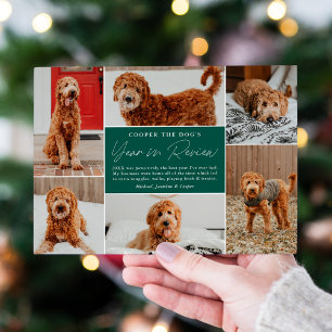 Pet's Year In Review Green Photo Collage Holiday Card