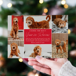 Pet's Year In Review Red Photo Collage Holiday Card