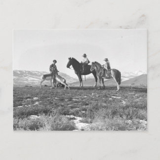 Petting Antelopes. Postcard