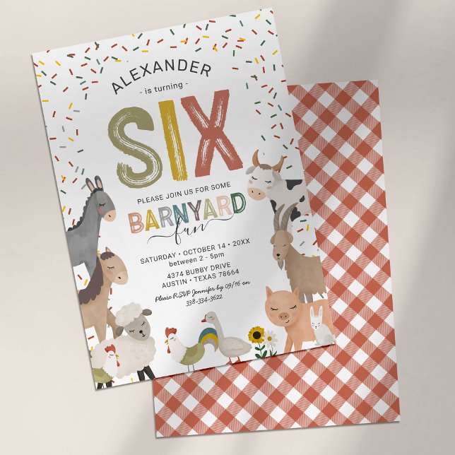 Petting Zoo 6th Birthday Party Invitation (Creator Uploaded)