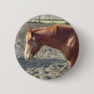 Petty Chestnut Horse 6 Cm Round Badge