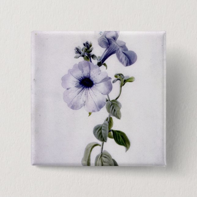 Petunia 15 Cm Square Badge (Front)