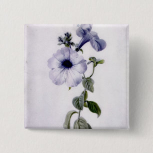 Petunia 15 Cm Square Badge