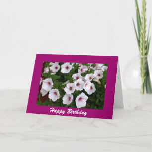 Petunia Birthday Greeting Card
