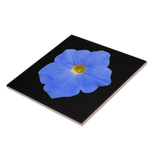 Petunia Blue and Yellow Tile