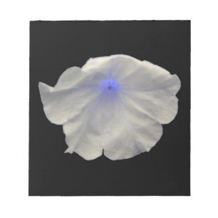 Petunia Blue Glow Notepad