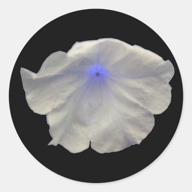Petunia Blue Glow Stickers (Front)