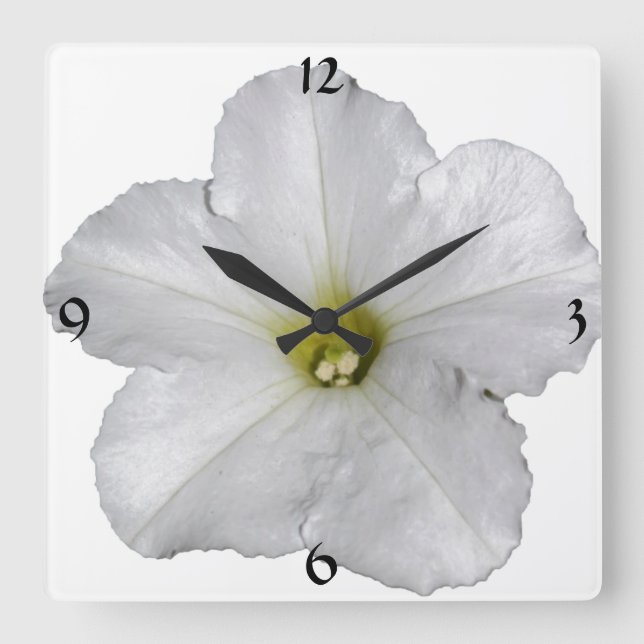 Petunia Flower Floral Christmas Decor White Cool Square Wall Clock (Front)