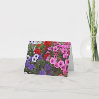 petunia flowers gift card
