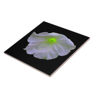 Petunia Green Glow Tile