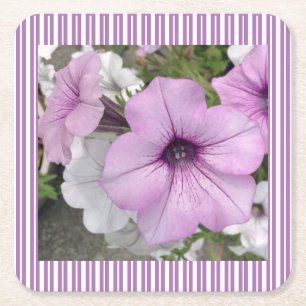 Petunia Striped Paper Coaster