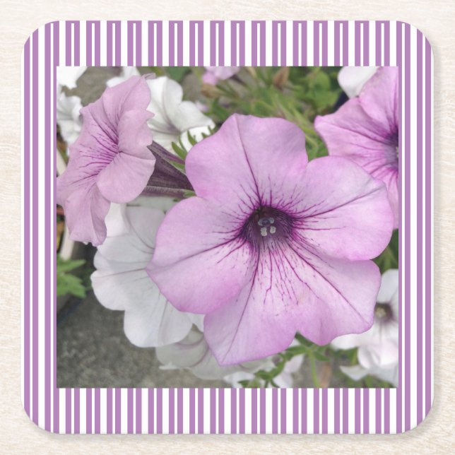 Petunia Striped Paper Coaster (Front)