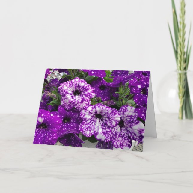 Petunias  card (Front)