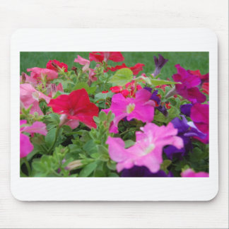 Petunias Mouse Pad