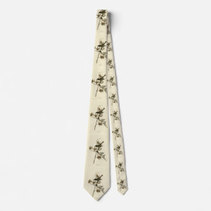 Pewit Flycatcher, Phoebe, Audubon Birds of America Tie