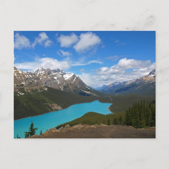 Peyto Lake Postcard (Front)