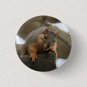 Pfft 3 Cm Round Badge