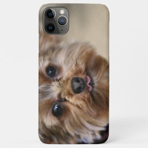 Pfft Case-Mate iPhone Case