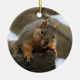 Pfft Ceramic Tree Decoration