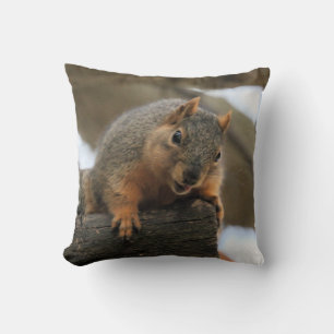 Pfft Cushion