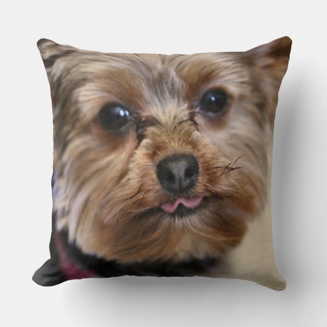 Pfft! Cushion (Front)